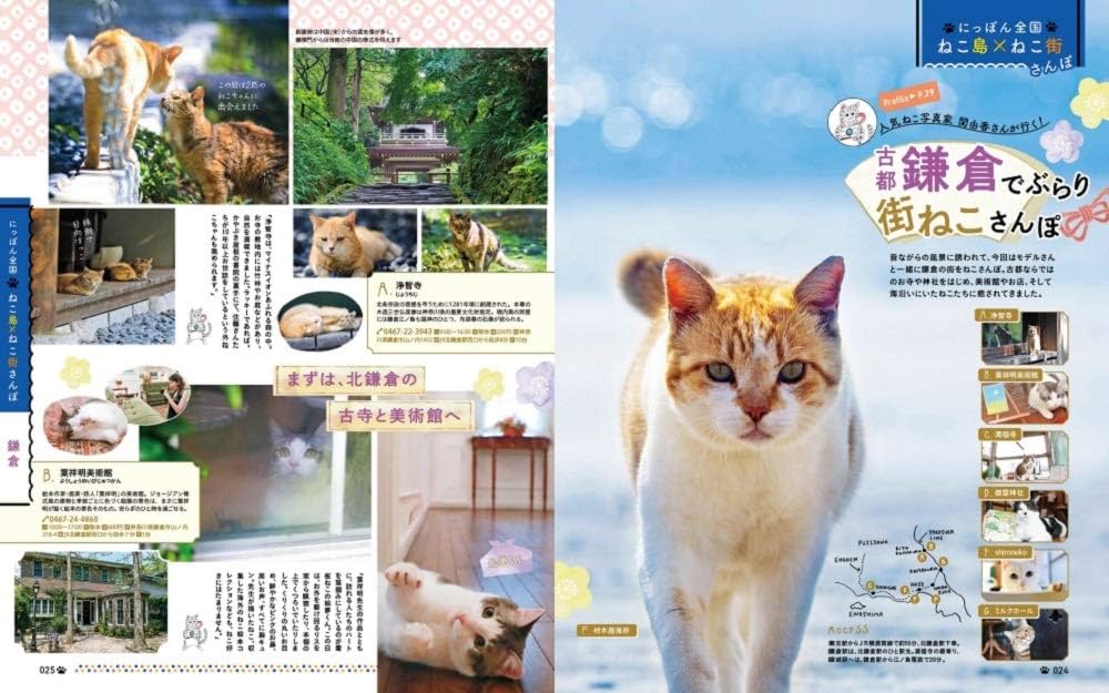にゃっぷる (昭文社ムック): 9784398294524: Books - Amazon.ca